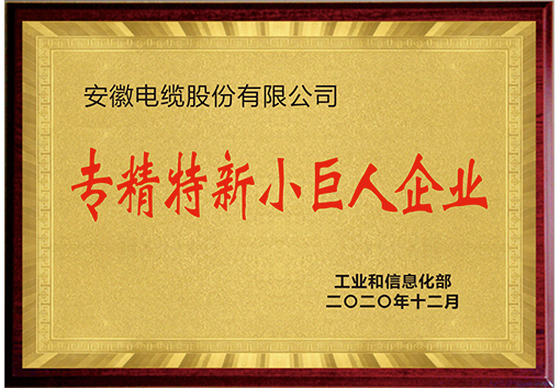 Specialized, refined, distinctive and innovative small and medium-sized enterprises