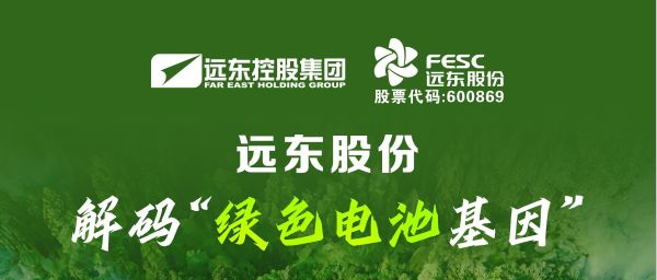 远东股份：解码“绿色电池基因”