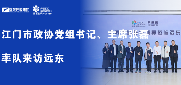 江门市政协党组书记、主席张磊率队来访远东