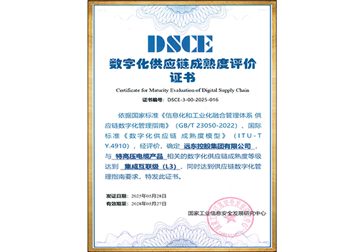 数字化供应链成熟度评价证书